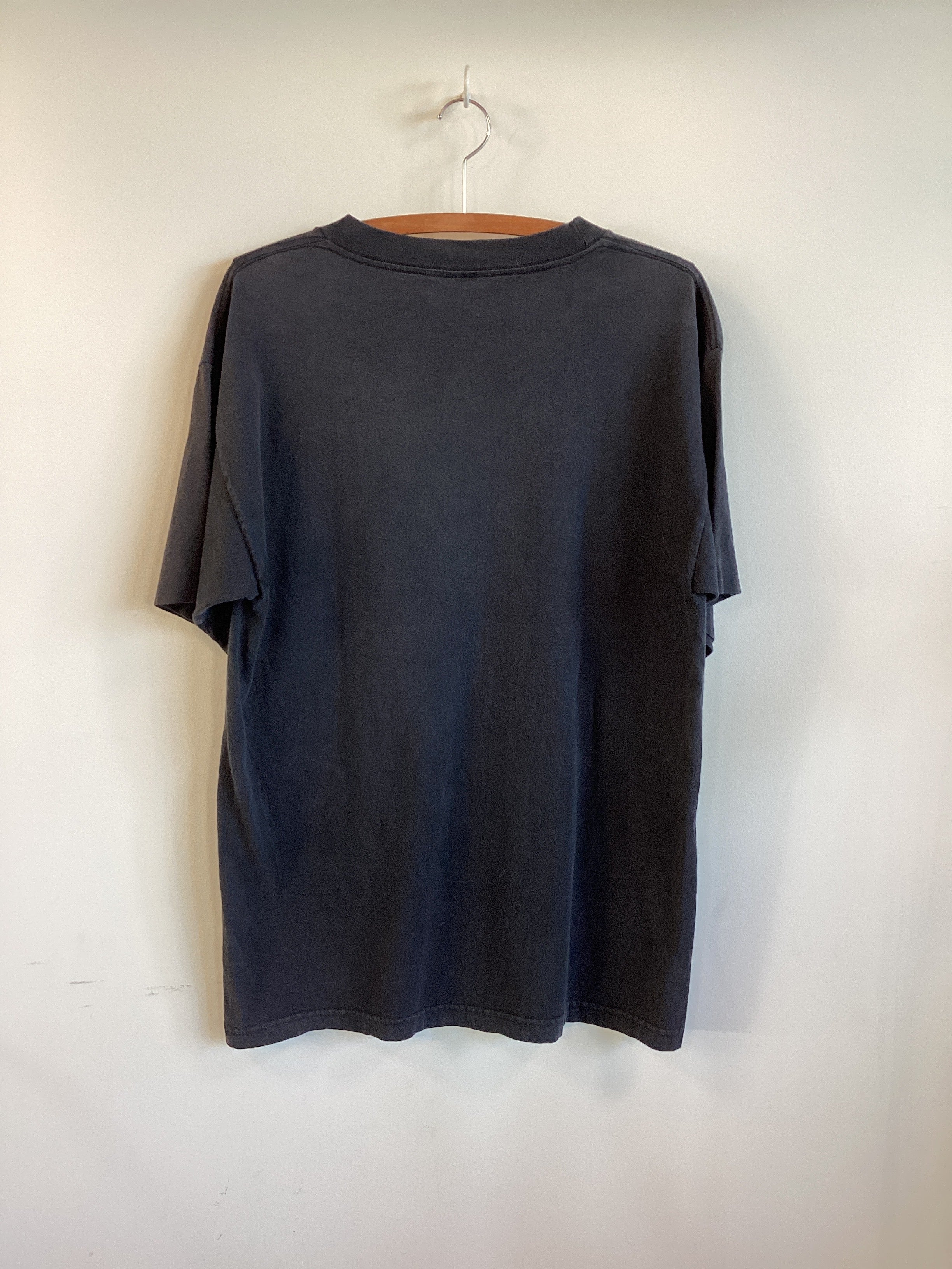 Universal Jurassic Park 90s L